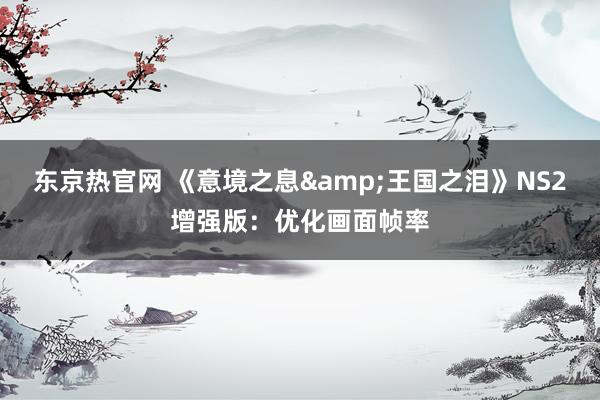 东京热官网 《意境之息&王国之泪》NS2增强版：优化画面帧率