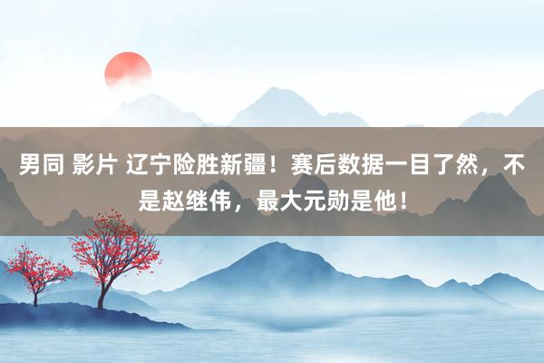 男同 影片 辽宁险胜新疆！赛后数据一目了然，不是赵继伟，最大元勋是他！