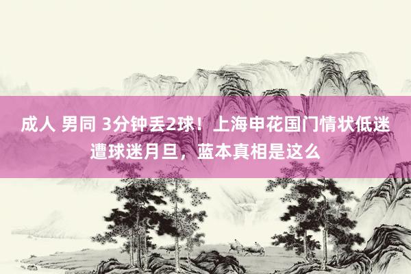 成人 男同 3分钟丢2球！上海申花国门情状低迷遭球迷月旦，蓝本真相是这么