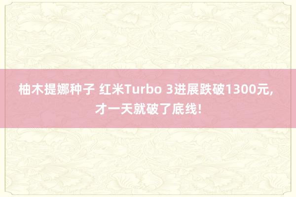 柚木提娜种子 红米Turbo 3进展跌破1300元， 才一天就破了底线!