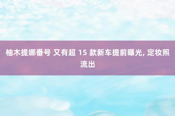 柚木提娜番号 又有超 15 款新车提前曝光， 定妆照流出