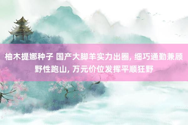 柚木提娜种子 国产大脚羊实力出圈， 细巧通勤兼顾野性跑山， 万元价位发挥平顺狂野