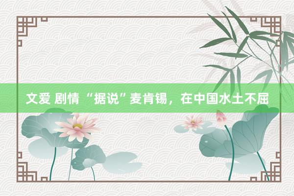 文爱 剧情 “据说”麦肯锡，在中国水土不屈